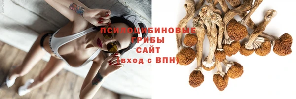 мдпв Костерёво
