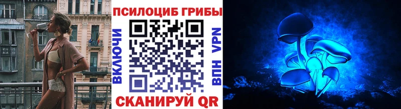 ОМГ ОМГ ССЫЛКА  наркота  маркетплейс официальный сайт  Псилоцибиновые грибы мицелий  Куровское 